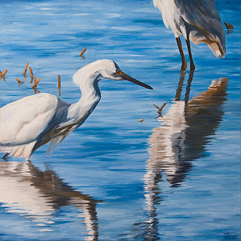 Egret Waters