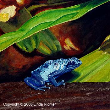 Blue Frog Blue Frog