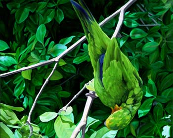 Green Spirit Green Spirit