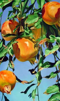 Pomegranates Pomegranates