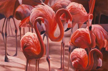 Stand of Flamingos Stand of Flamingos