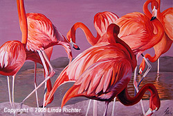 Flamingo Sunset Flamingo Sunset