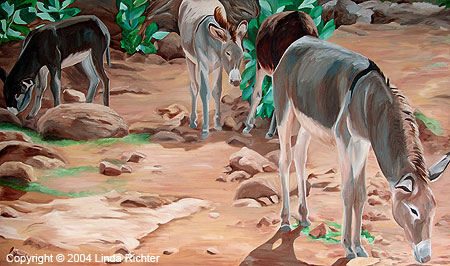 Grazing Donkeys Grazing Donkeys