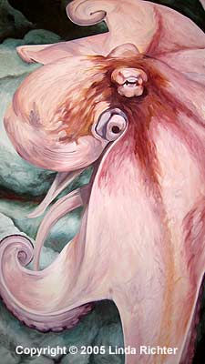 Octopus Blooming Octopus Blooming