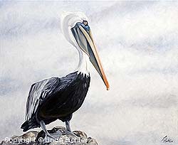 Pelican Vigil by Linda Richter