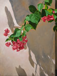 Red Bougainvillea