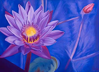 Water Lily in Purple by Linda Richter