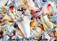 Colors of Conch Copyright © 2003 Linda Richter