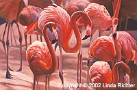Stand of Flamingos Copyright © 2002 Linda Richter