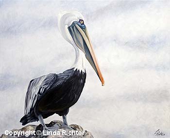 Pelican Vigil
