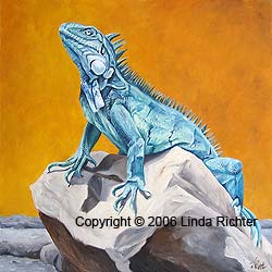 Sun Iguana