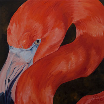 Flamingo to the Left