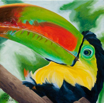 Keel-billed Toucan Keel-billed Toucan
